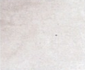 0000 Bianco C