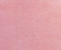 0009 Coral C