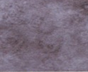 0020 Gray A
